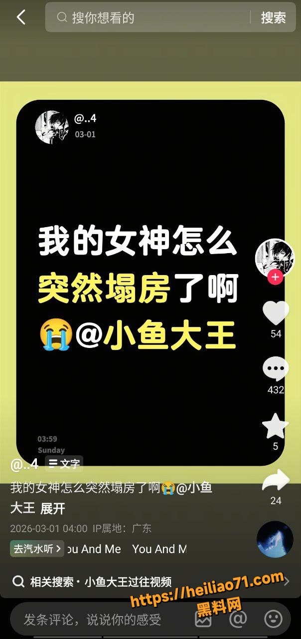 快手小鱼大王塌房事件7