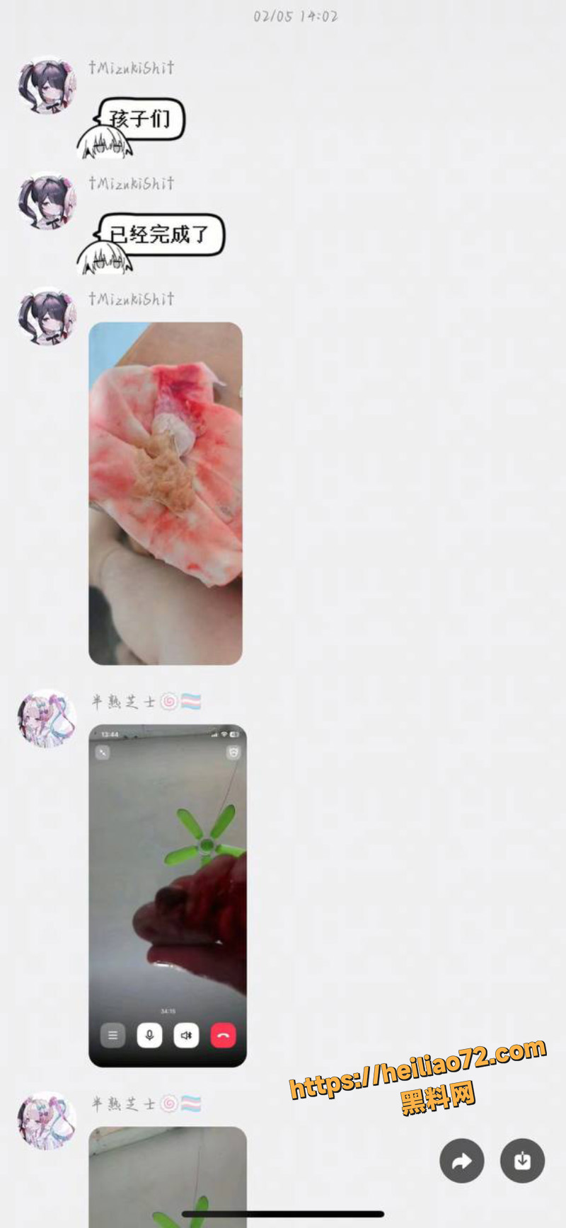 割蛋蛋
