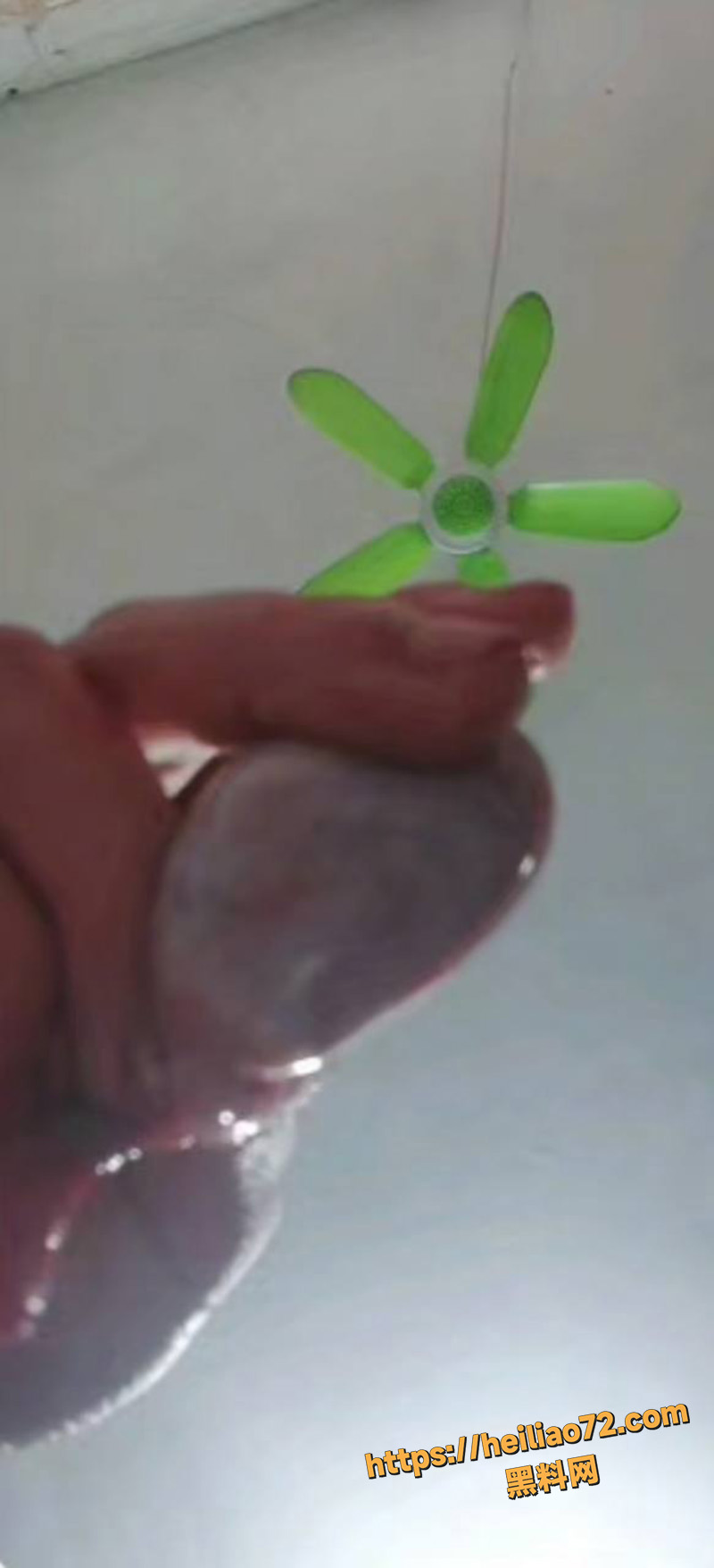 睾丸