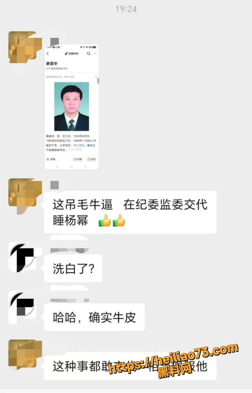 辽宁唐国华违纪被查8
