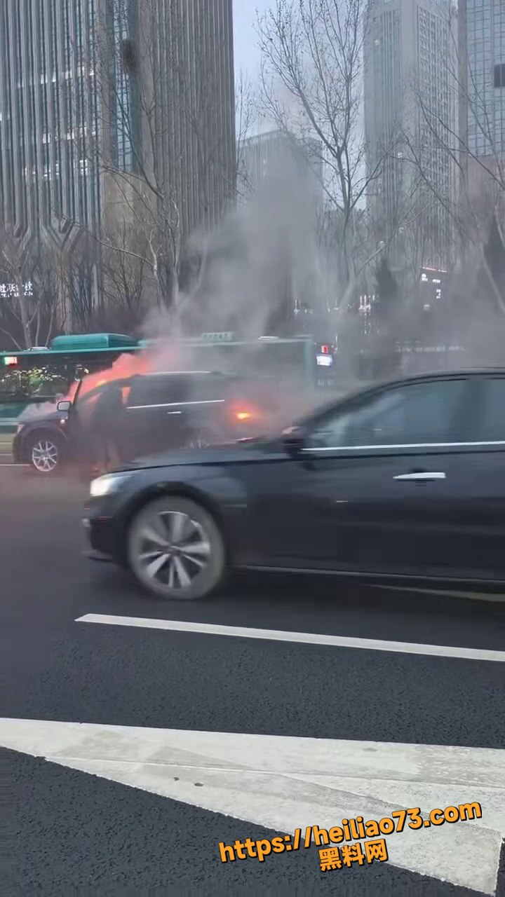 济南车辆自燃大哥舍命寻物1