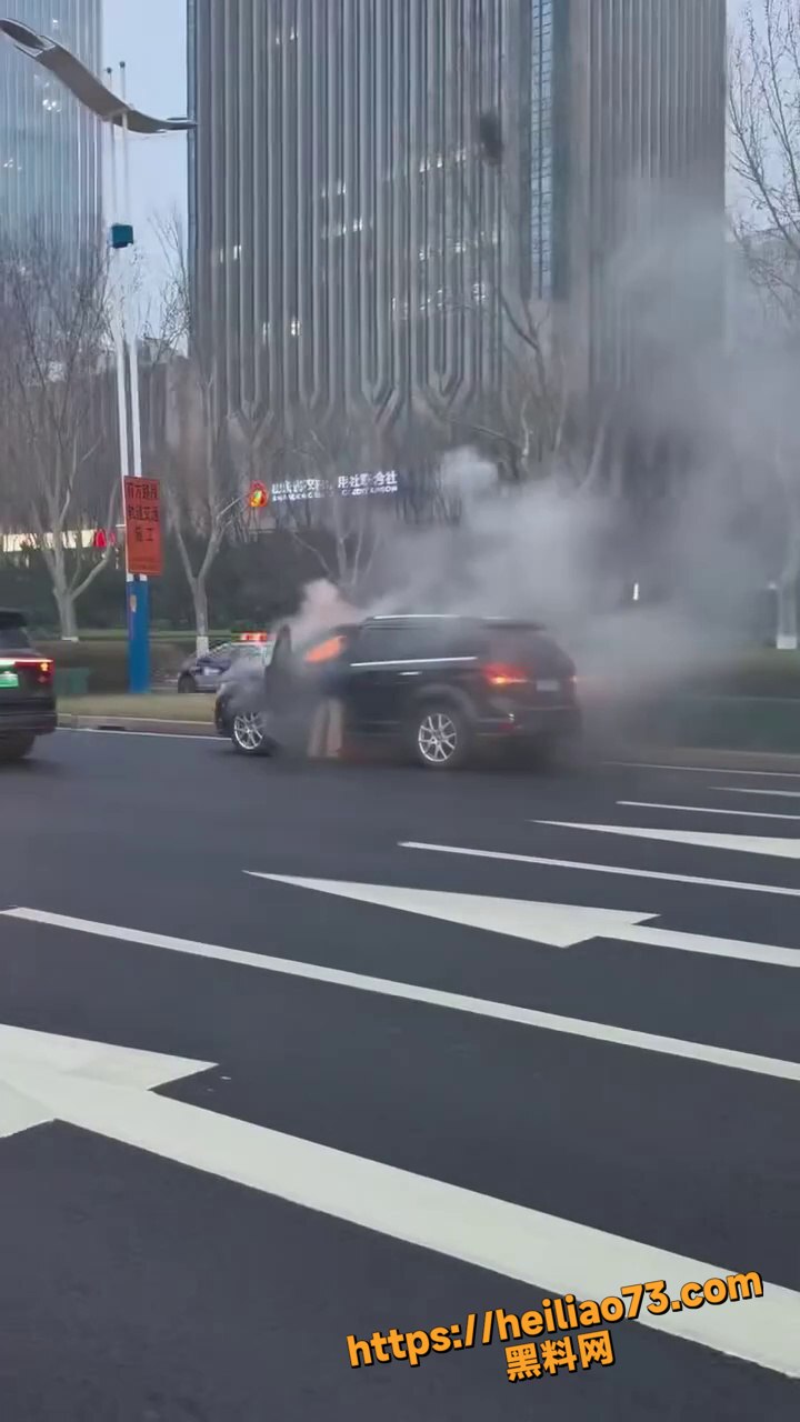 济南车辆自燃现场视频2