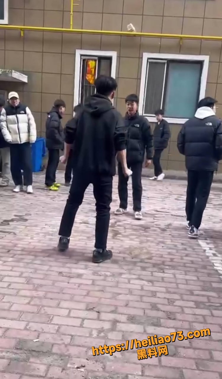 精神小伙单挑变群殴1