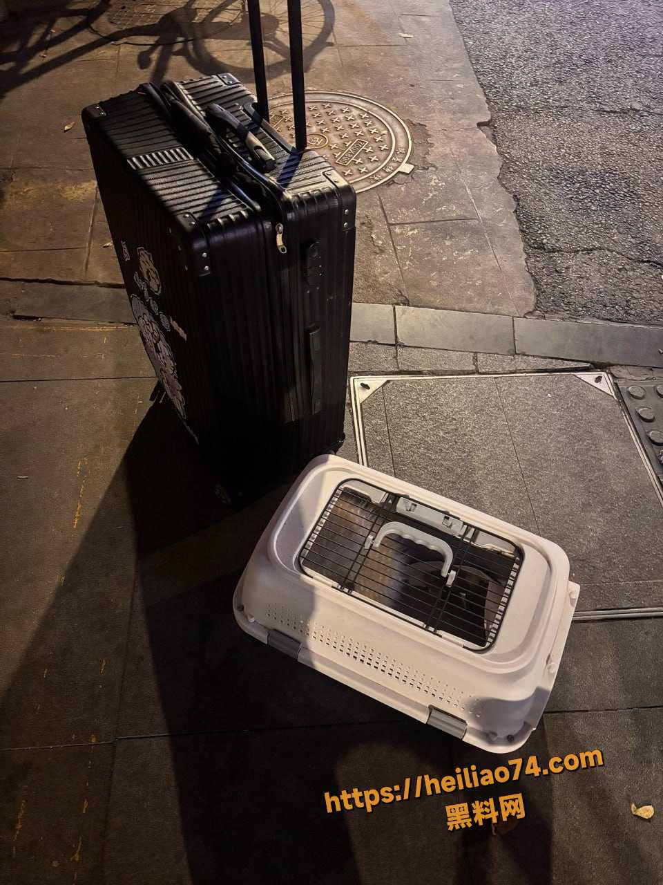 赵文龙恋爱期索钱骗家人事件1