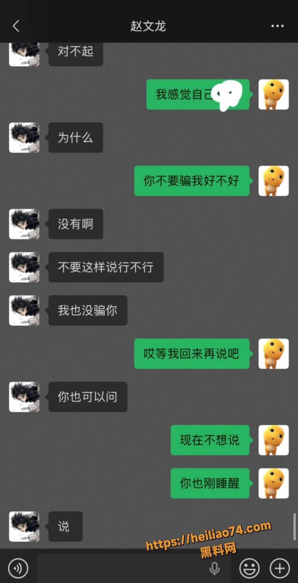 赵文龙恋爱骗钱冷暴力事件5