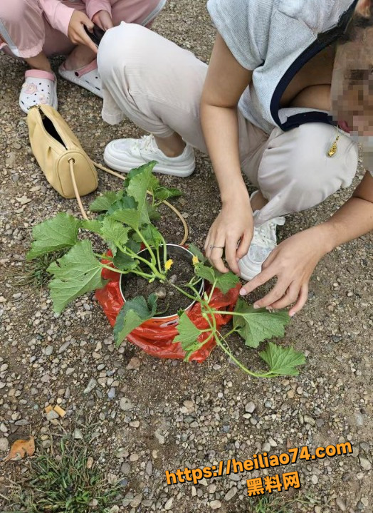 海角乱伦系列资源合集1