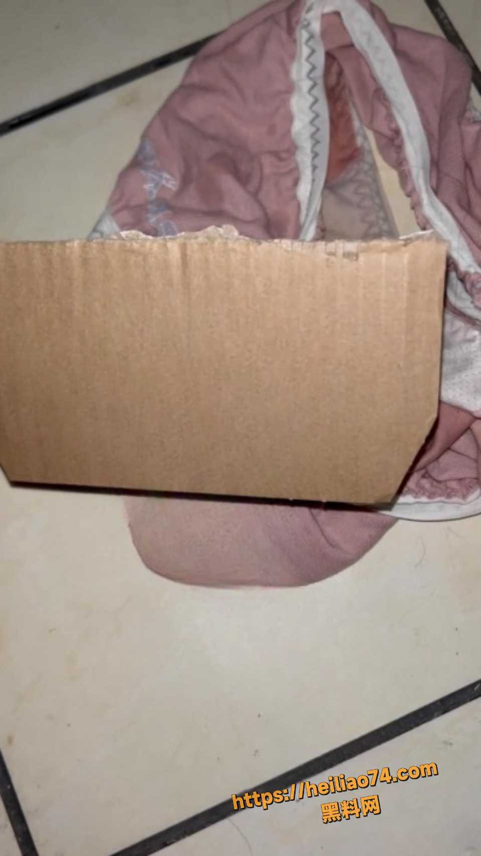 黑料网1