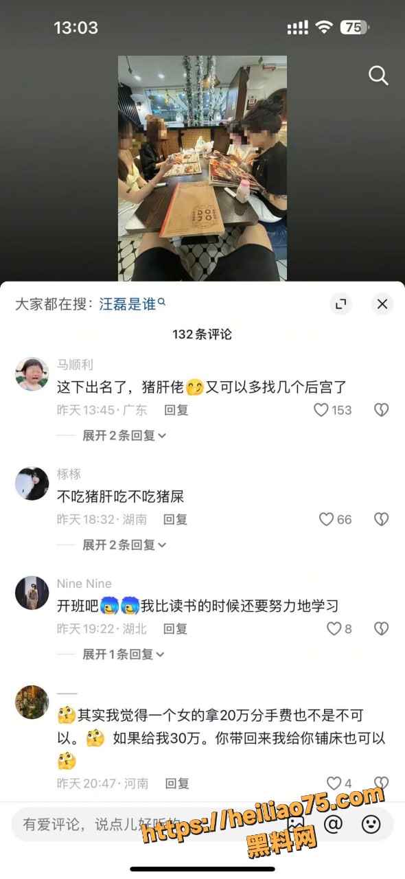 不吃猪肝塌房 3