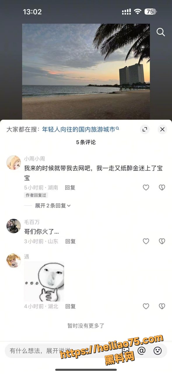 不吃猪肝塌房 4