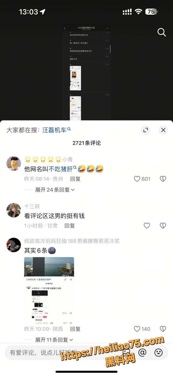不吃猪肝塌房 7