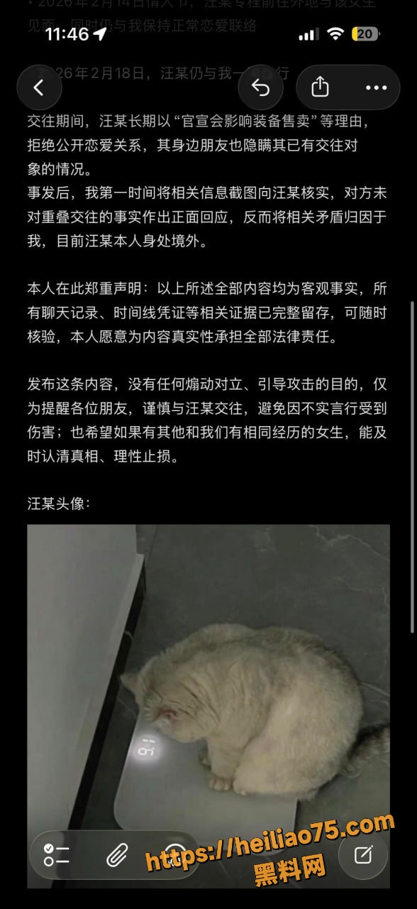 汪磊出轨 2