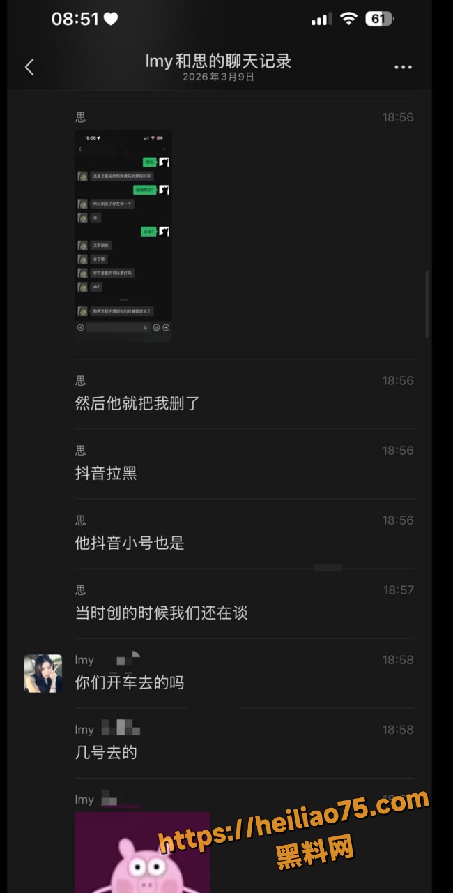 刘梦瑶思恋聊天记录 4