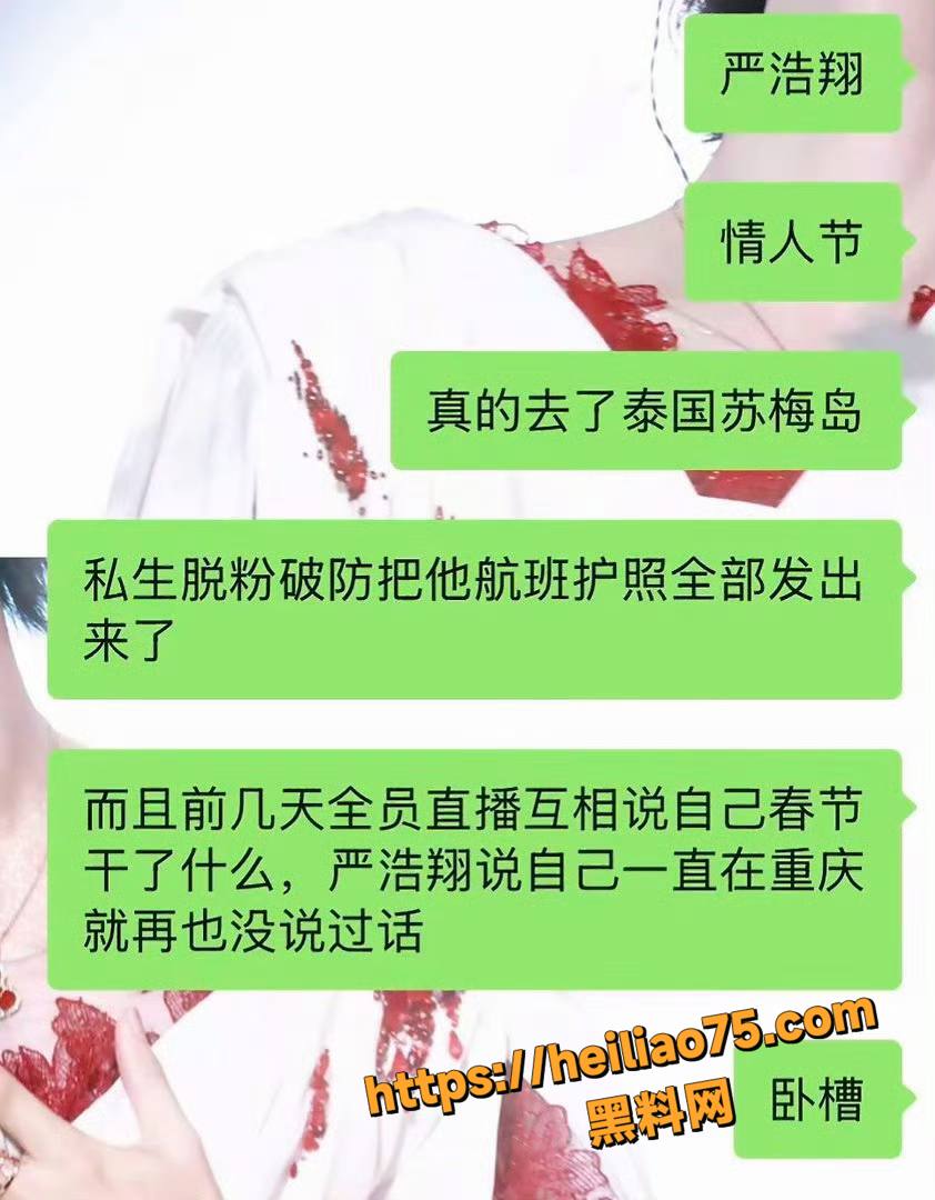 严浩翔情人节赴苏梅岛约炮11