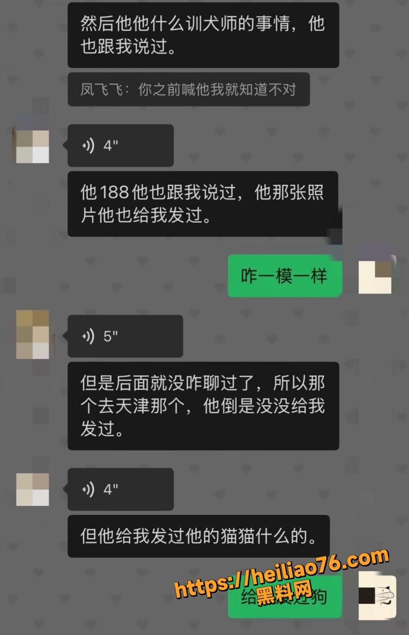 聊天记录28