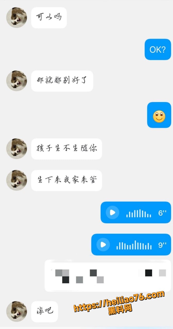 聊天记录30