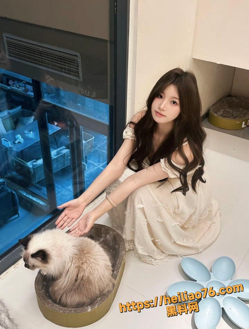 母狗