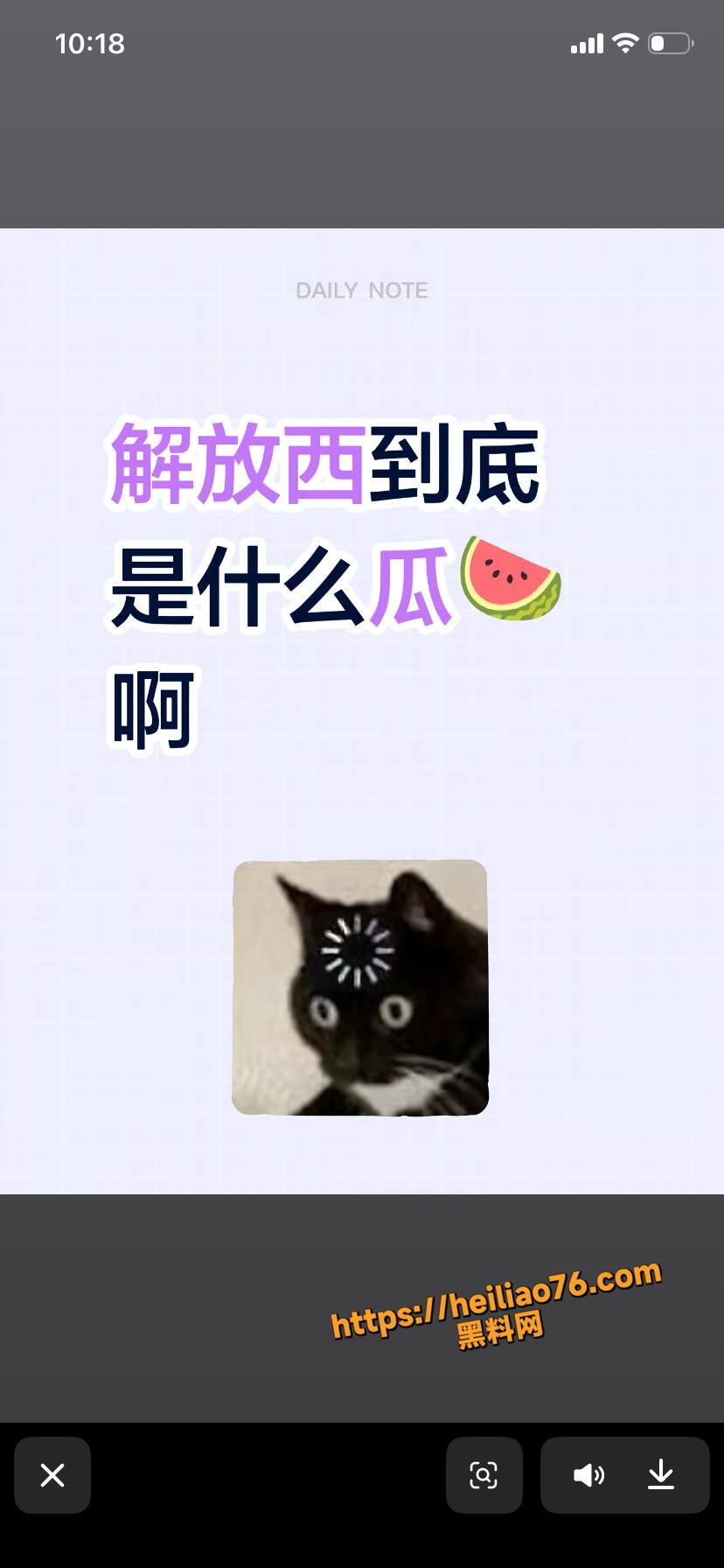 口交11
