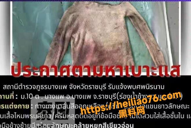 泰国泳池派对抛尸案2
