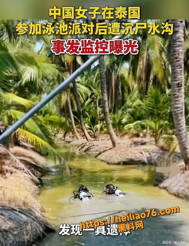 泰国泳池派对抛尸案3