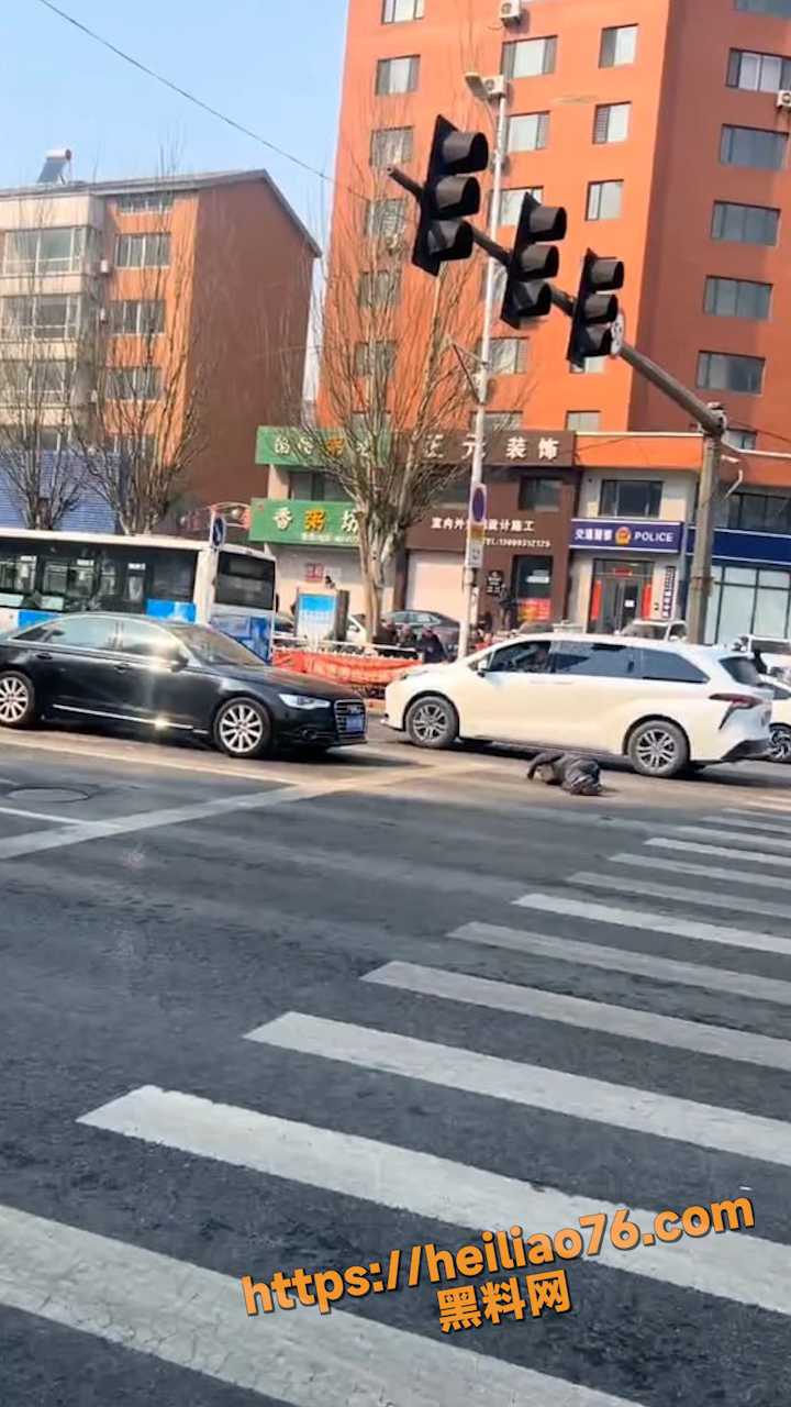 辽宁营口大石桥大爷碰瓷现场5