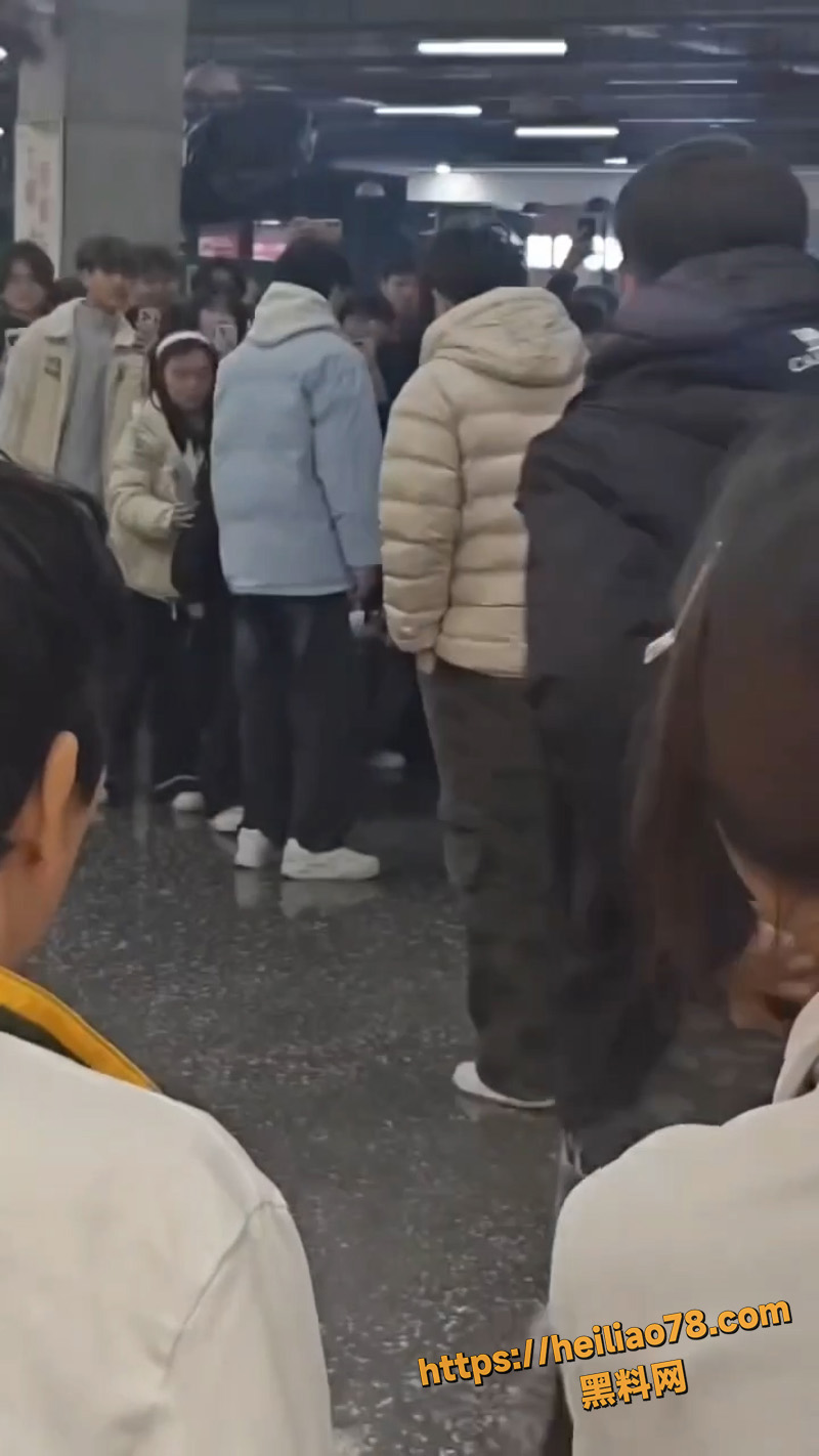 渣男下跪求饶视频