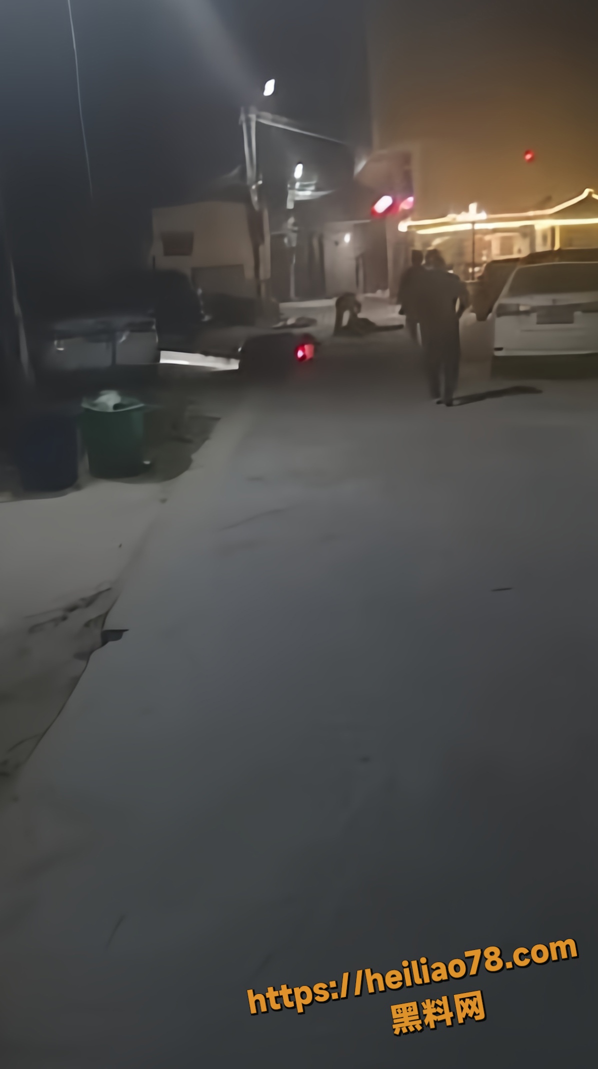 鬼火少年醉酒翻车视频3