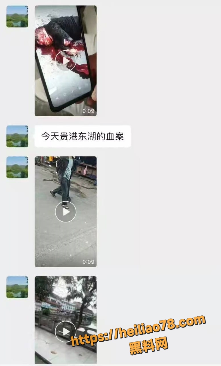血腥现场4