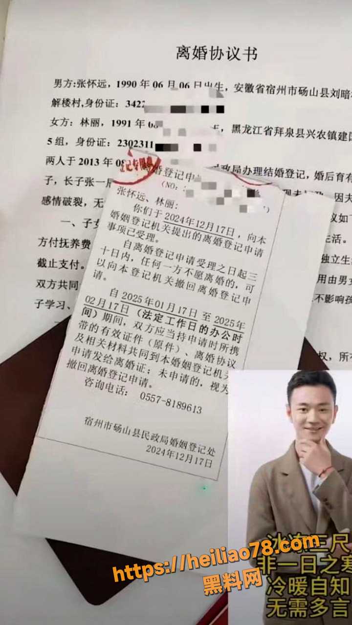 林丽厉怀远离婚1