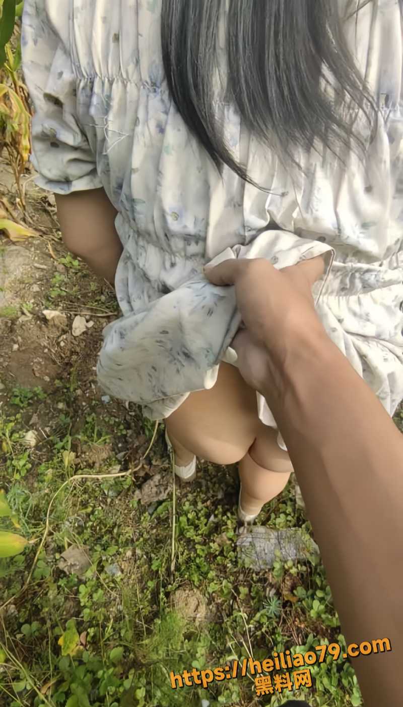 打野王子 12