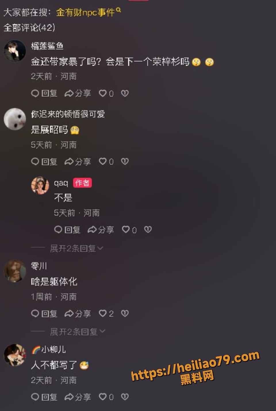 金有才与粉丝约炮性爱视频流出11