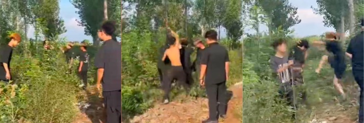 下载 28