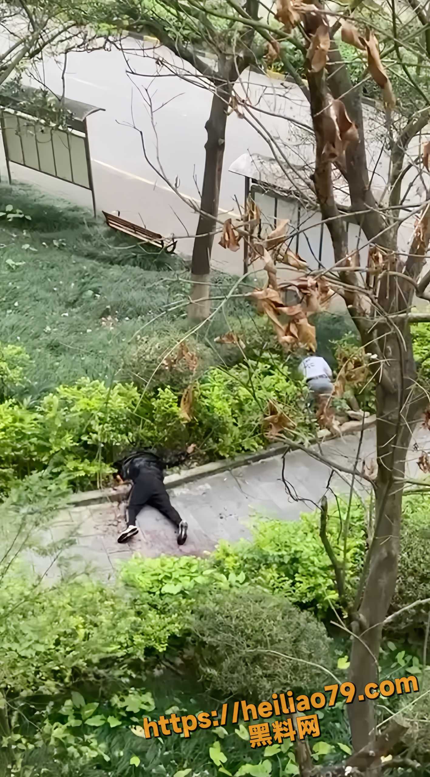南宁市翡翠园伤人事件1