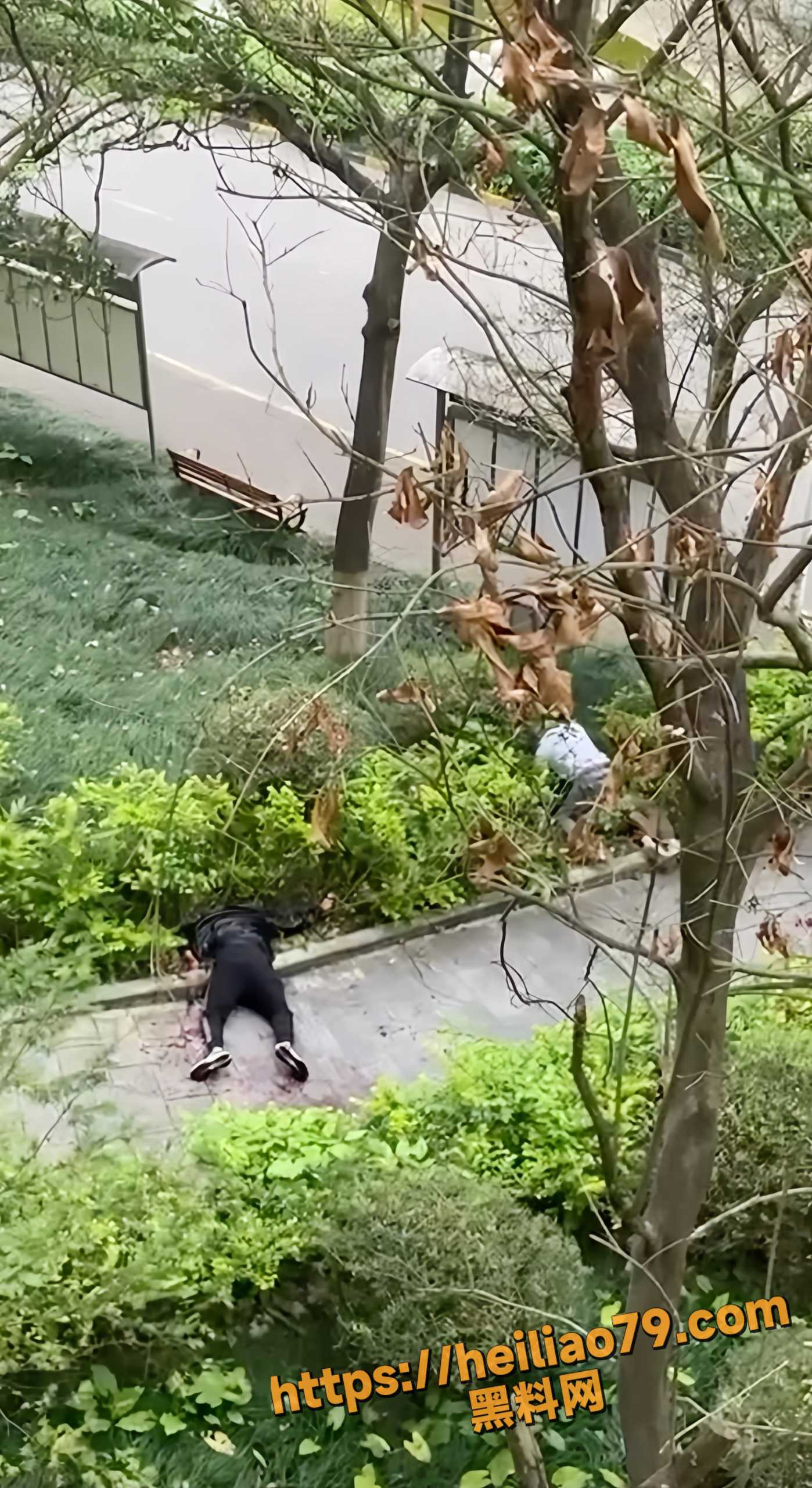 偷拍刀仔捅人视频 2