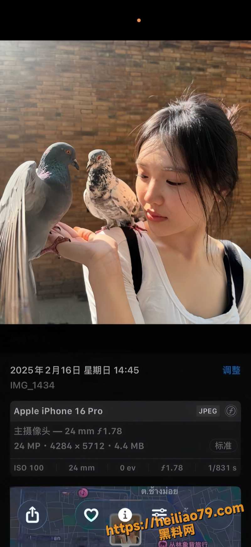 投稿4