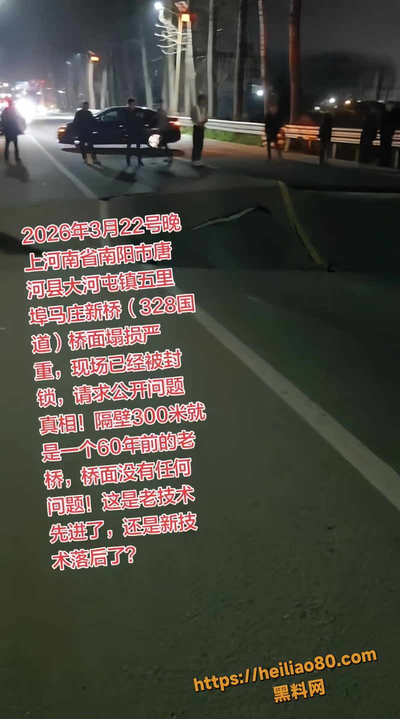 河南新桥质量问题2