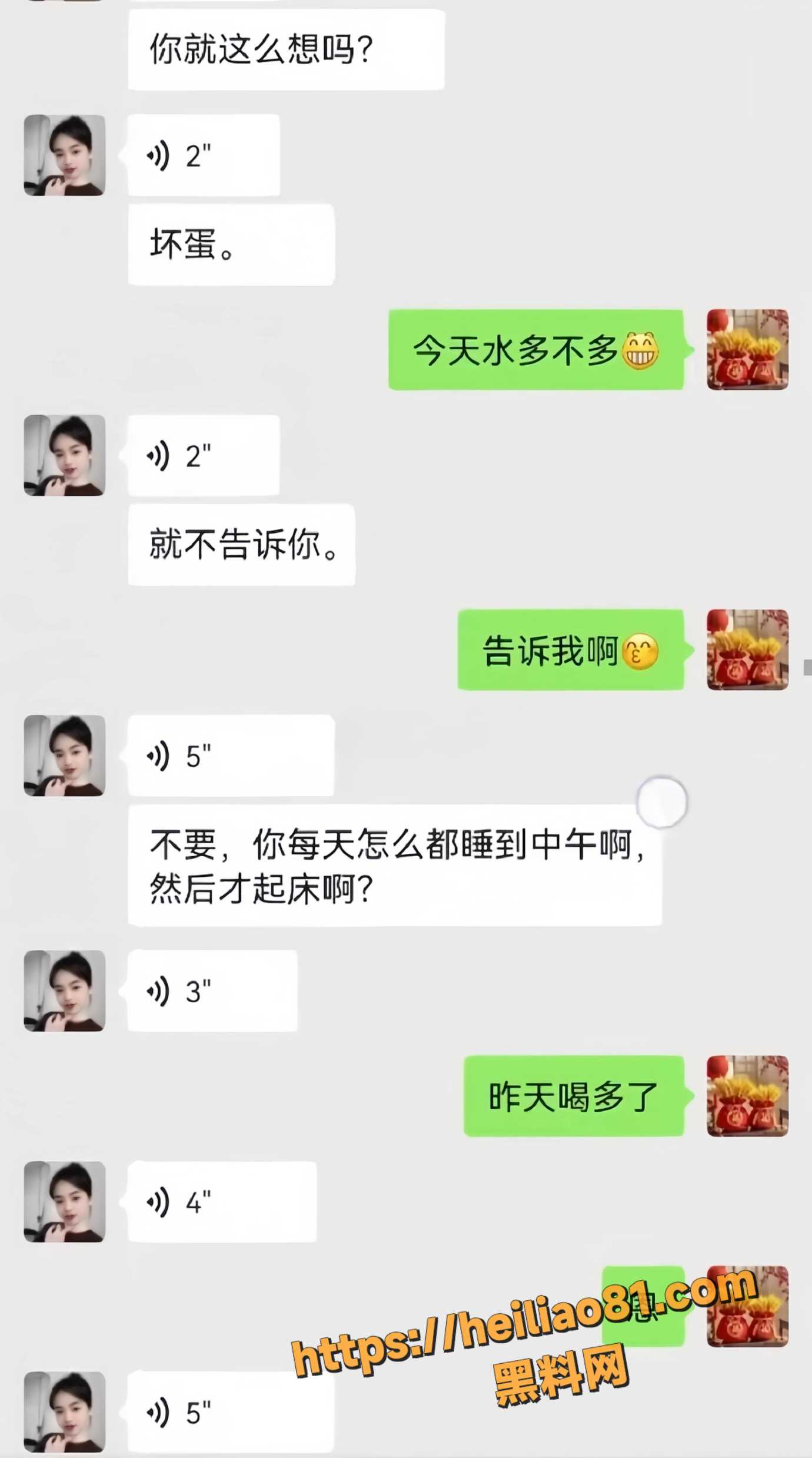 河北邢台11