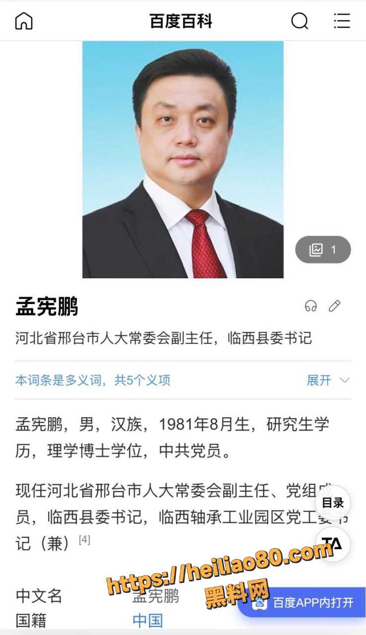临西县委书记孟宪鹏 2