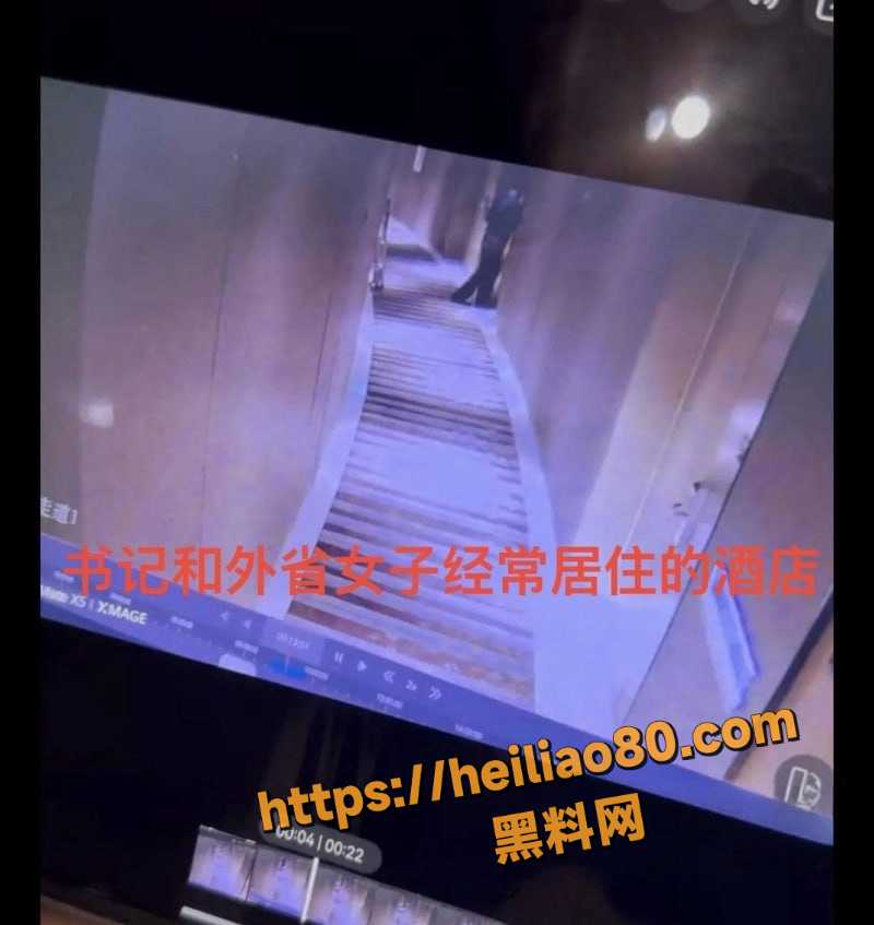孟宪鹏情妇被悉数爆光 3