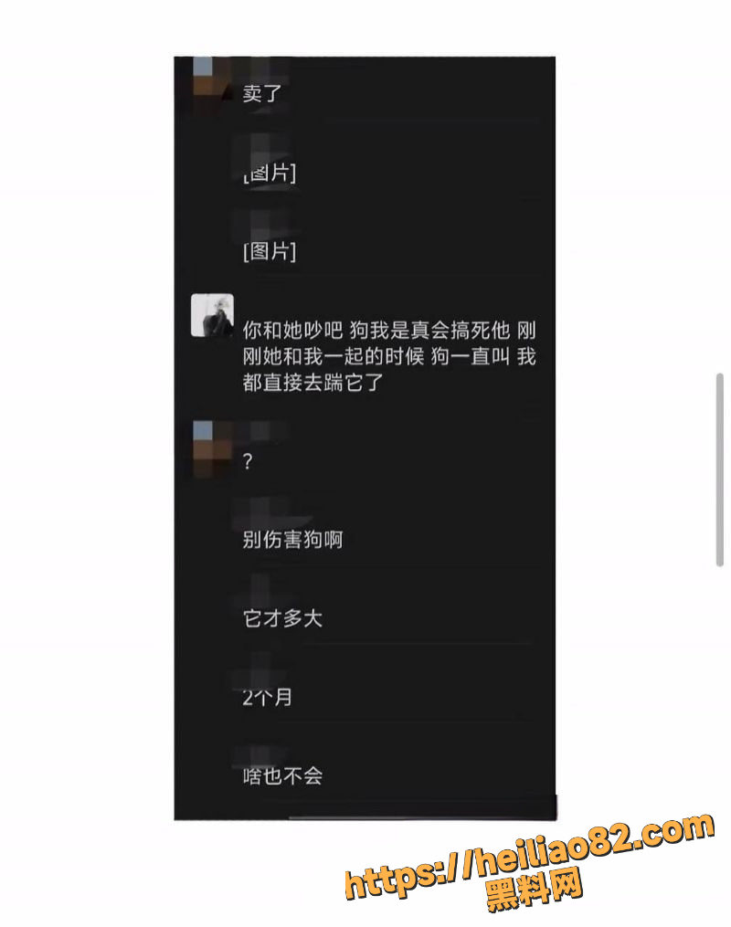 实锤小作文 5