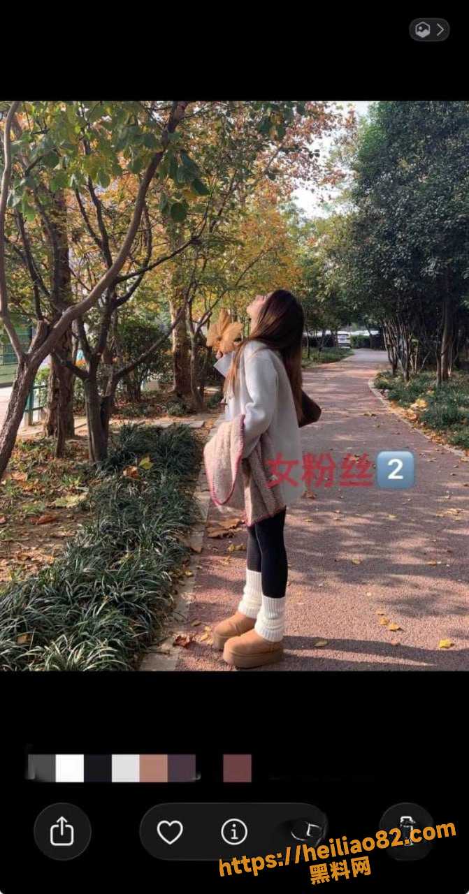 实锤小作文 17