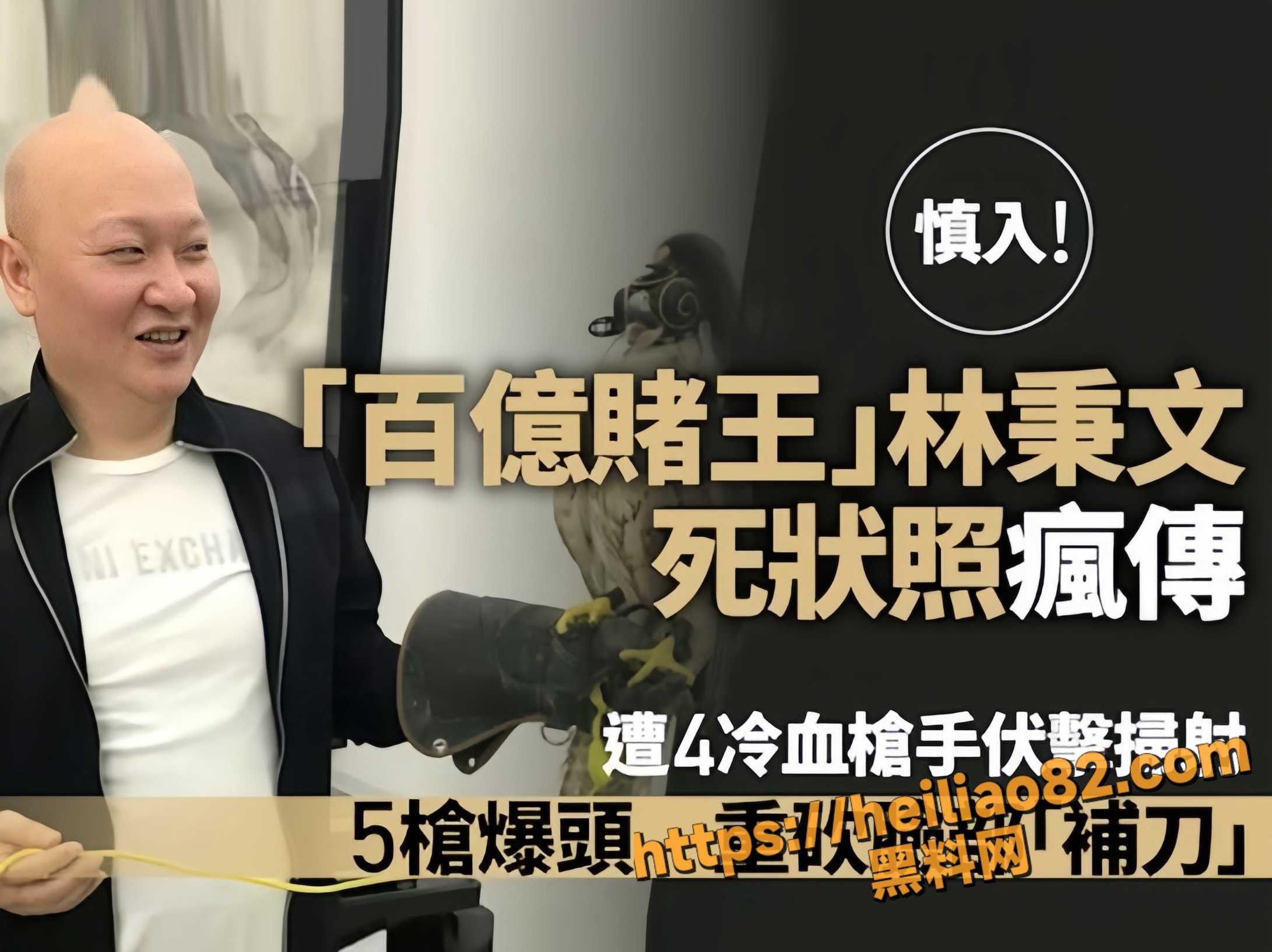 台湾赌王弃保潜逃事件1