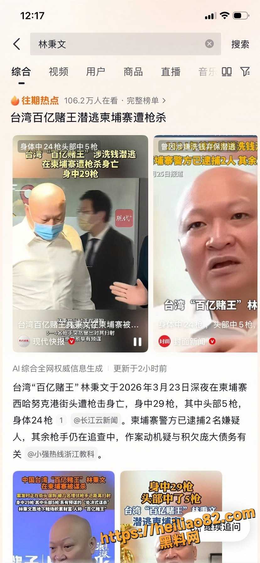 林秉文29枪惨死画面3
