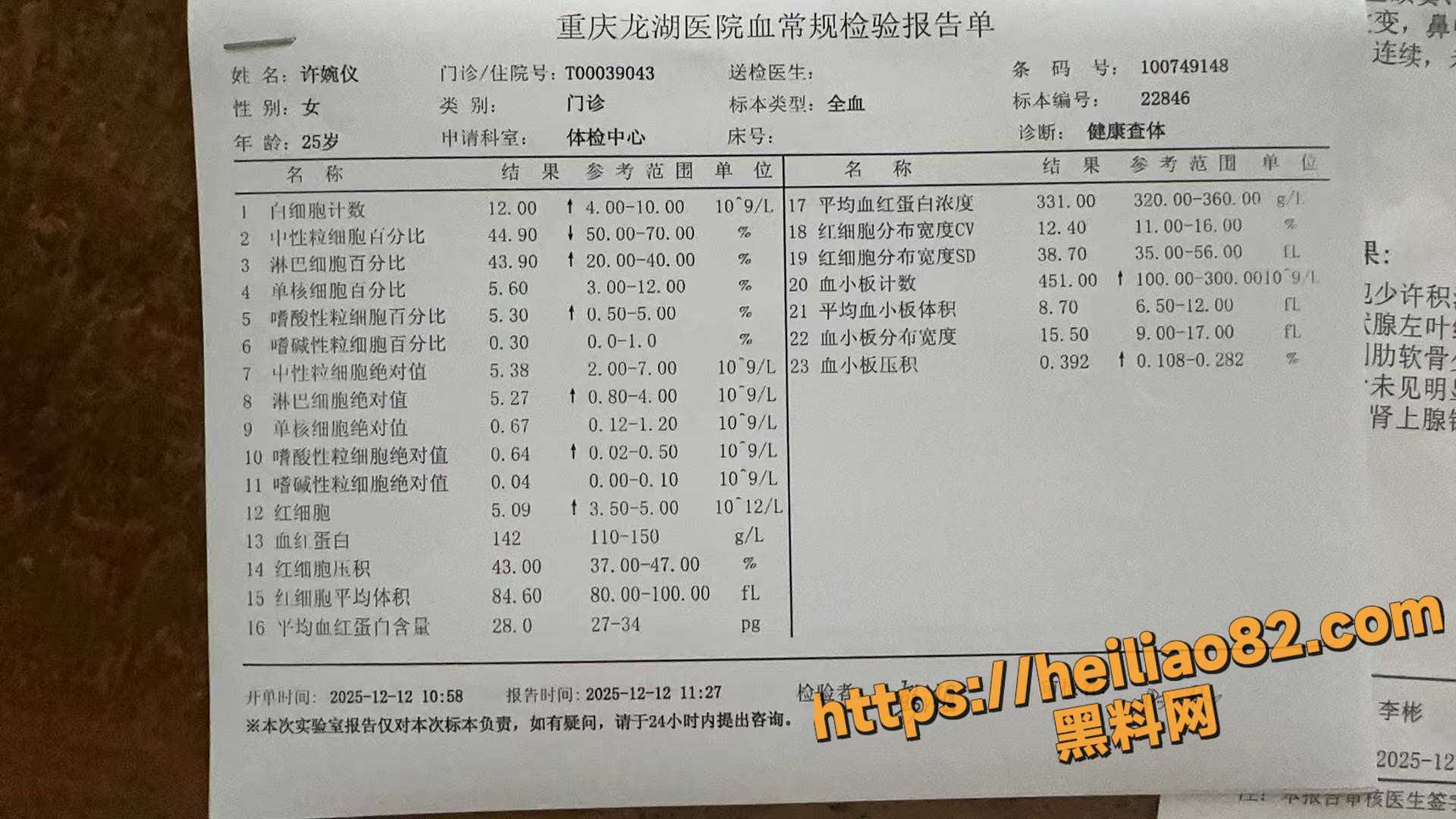 海棠MM13