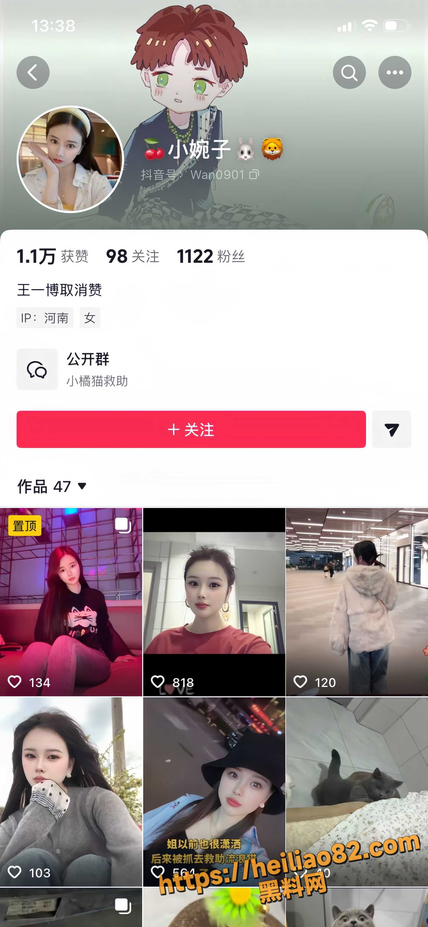 河南36