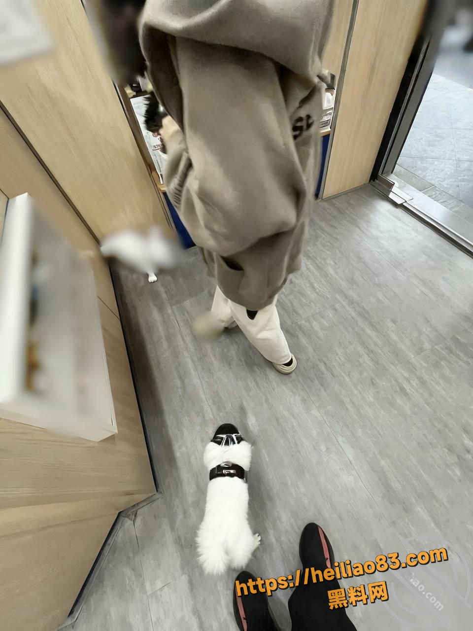 反差婊25