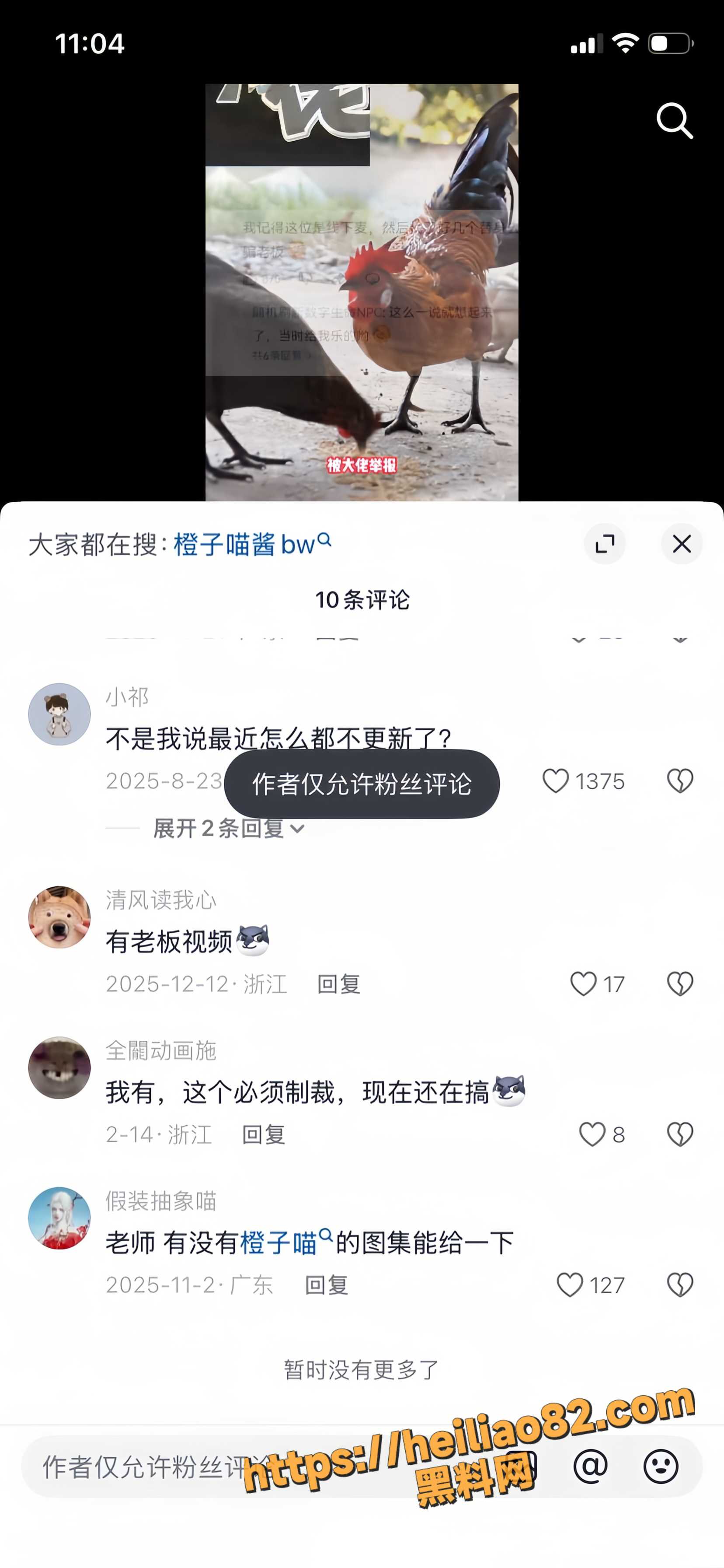 橙子喵酱16