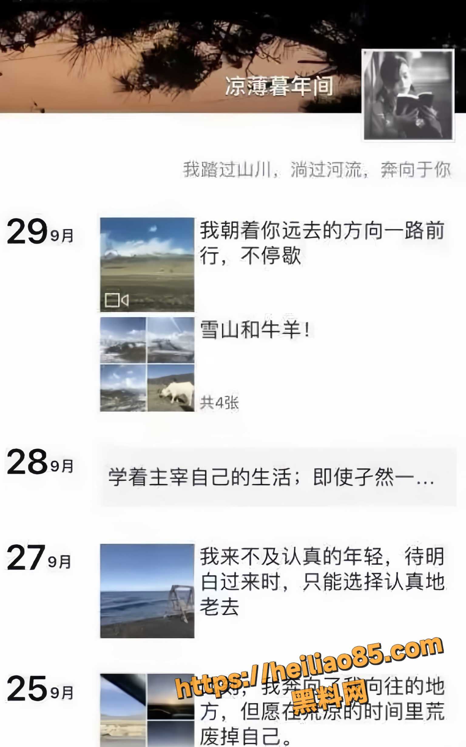 人生导师18
