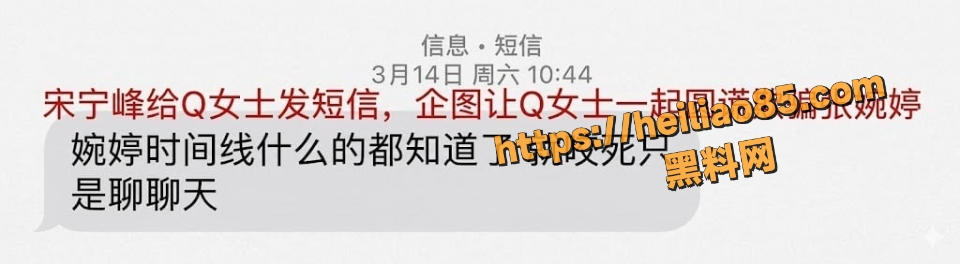 宋宁峰与Q女士性爱视频4