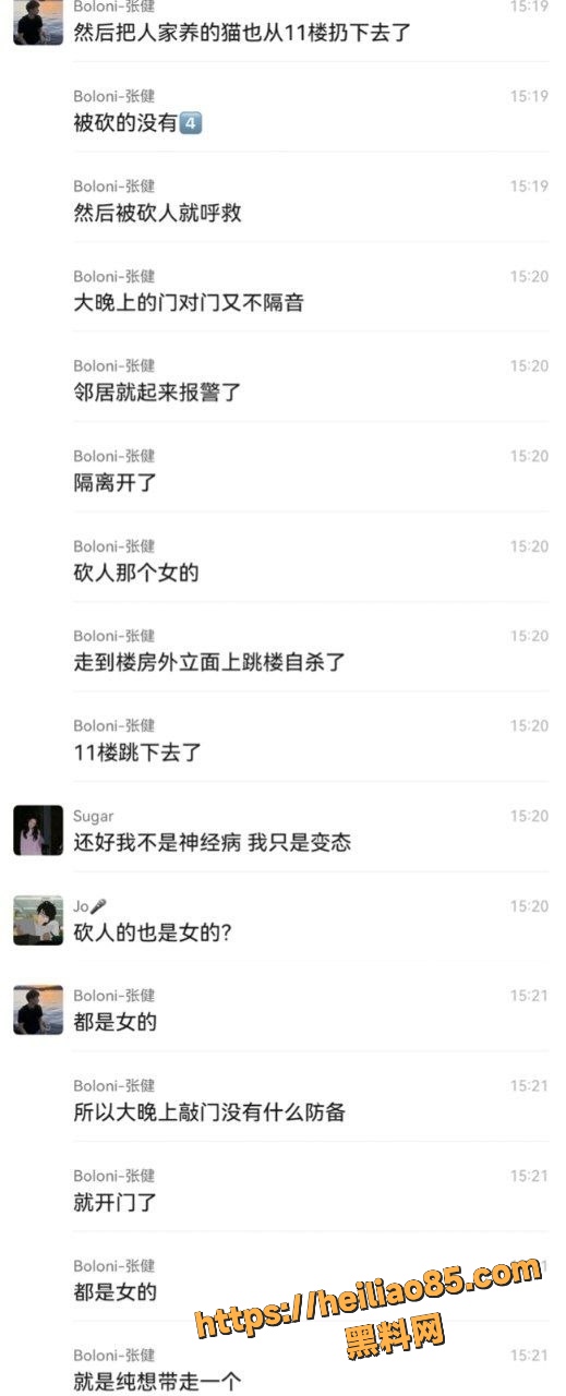 精神分裂5