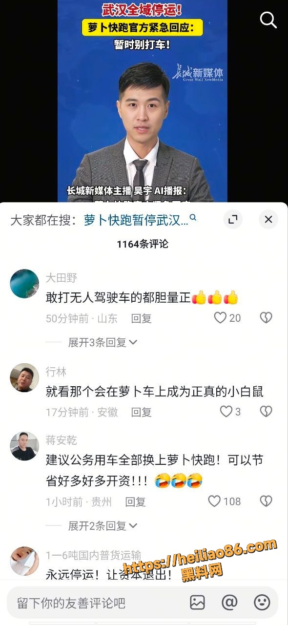 萝卜快跑 2